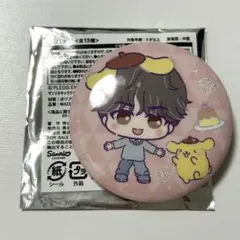 SEVENTEEN サンリオ ドンキ コラボ 缶バッジ ミンギュ