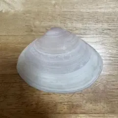 Item thumbnail for item 8f72cff8-4ac7-4b63-b09a-6d7a1ec0b2b8