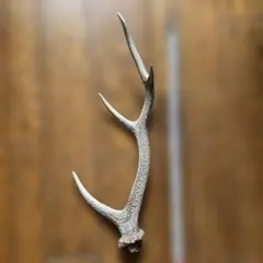 鹿の角 47cm Ⓑ