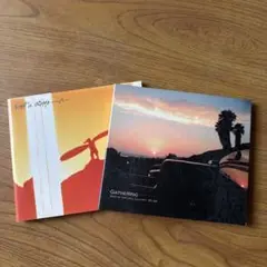 ナチュラルカラミティ　CD2枚