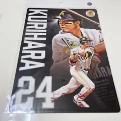 新品★ソフトバンクホークス 栗原陵矢選手 下敷き