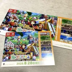 ★非売品★牧場物語 Let's 風のグランドバザール 販促用パネルPOP2枚