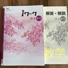 iワーク 中3 数学　高校受験用問題集
