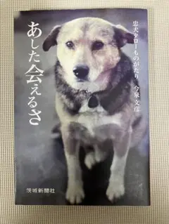 あした会えるさ : 忠犬タローものがたり Amazon.co.jp: あした会えるさ―忠犬タローものがたり : 今泉