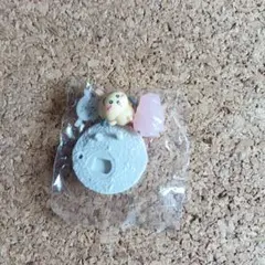 チョコサプ　うさぎ