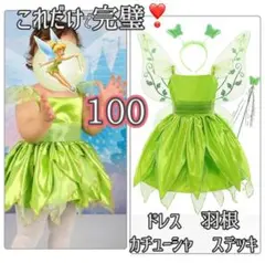 100羽付き】新品 4点セット✨ティンカーベル プリンセス コスプレ 豪華 主役