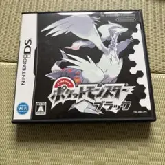 ポケットモンスター ブラック Nintendo DS