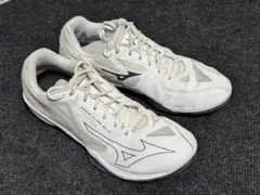 WAVE CLAW EL2 26センチ