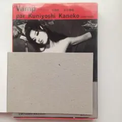 金子国義 写真集 Vamp