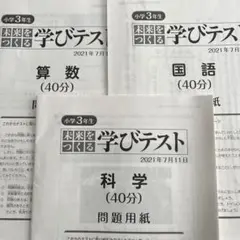 未来をつくる学びテスト2年分過去問プリント　仲間の記述例付 2024♡7／14未来をつくる学びテストのご案内【7／4期限