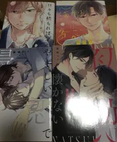 日々も積もれば恋となる　やましい恋で侵したい　BL