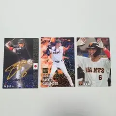 Item thumbnail for item 1ad098e5-a85f-4ce1-aa95-12581699c456