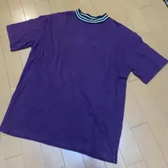 紫 半袖 Tシャツ ストライプ襟