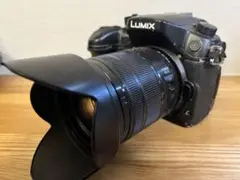 Item thumbnail for item 8a87e1f0-c418-4a17-b124-50d31d6c2018