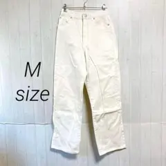 Item thumbnail for item 31ae46f2-c2a7-43db-b2ba-7952b8089abe