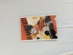 西谷夕 アートパネルコレクション