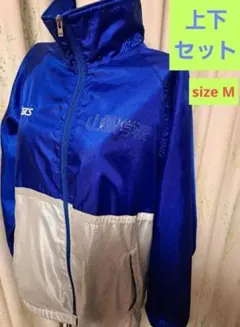 Item thumbnail for item 72572c20-5584-4578-ad19-54563447b0ba