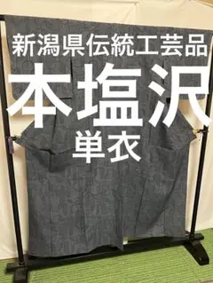 ⭐️美品 至宝品⭐️新潟県伝統工芸品【本塩沢】⭐️単衣⭐️幾何学文様⭐️お召⭐️