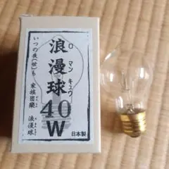 浪漫球 40W 日本製 3個セット