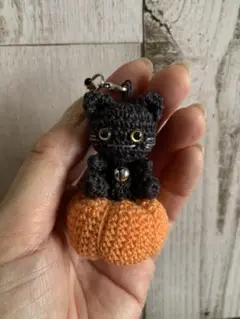 ハロウィン かぼちゃに乗った猫ちゃん