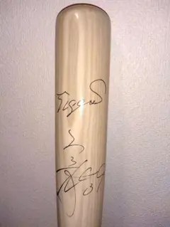 Item thumbnail for item f0d07985-db67-46df-9667-a083e99b3fd2