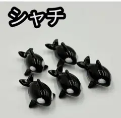 ガラス細工 シャチ (5個)