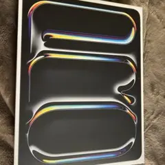 13インチiPad Pro Wi-Fi +Cellular 1TB Nano