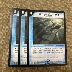 キングボニータス　3枚