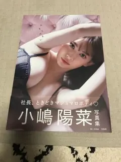 小嶋陽菜写真集 かもしれない