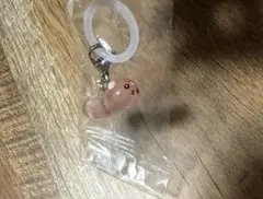 豆しば めじるしアクセサリー2 ジェリービーンしば