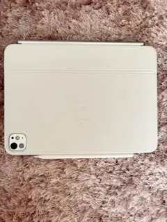 iPadOS 18.5