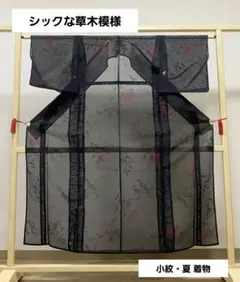 A5 夏物 シックな草木模様 黒色 赤色 正絹 薄物 絽 紗 小紋 着物