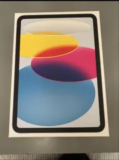 Apple iPad ブルー 本体