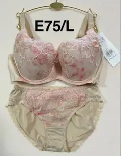 トリンプ　天使のブラ　魔法のハリ感　TR606 上下セット　ベージュ　E75/L