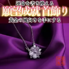 Item thumbnail for item 62b5dc2b-3421-4570-b391-6e542c714703