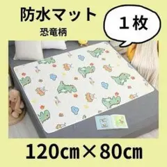 恐竜柄 防水マット