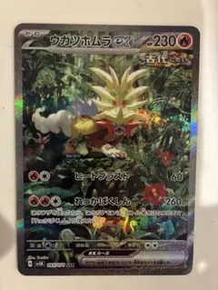 ウガツホムラex SAR