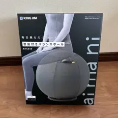 KING JIM AHC030 座面付きバランスボール 55cm