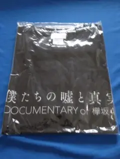 Item thumbnail for item 93d447bf-f6f8-4d75-b463-b5c4eefbf6f2