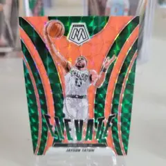 Jayson Tatum