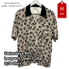 Item thumbnail for item 4b2f34b3-9786-42a0-9810-4b3b3fb46767