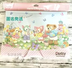 ディズニー ダッフィー&フレンズ ドキュメントファイル カムファインドスプリング