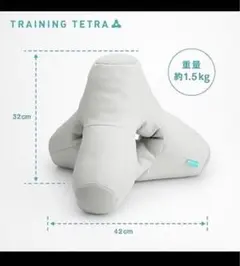 中古 TENGA TRAINING TETRA グレー クッション 中古 TENGA TRAINING TETRA