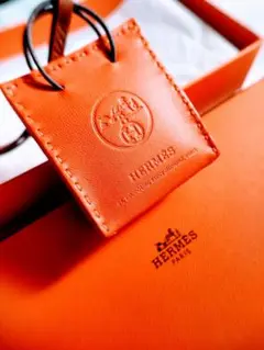 【Aランク極美品】エルメス サックオランジュ Y刻印2021年製