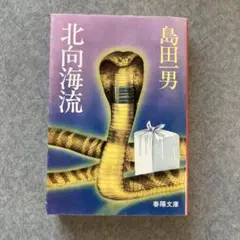 北向海流 島田一男 春陽文庫