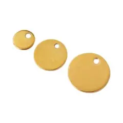 ステンレス ゴールド プレート 2枚入り