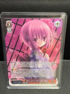 SP 雨上がりに咲く花 智花(サイン入り) PSA10 雨上がりに咲く花 智花 SP サイン psa10 電撃文庫