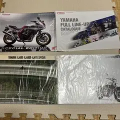 Item thumbnail for item c6484ad4-7857-4194-9207-ff763b2dcece