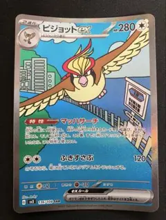 ピジョットex SAR