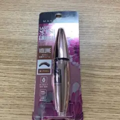 Item thumbnail for item 2e2b3689-7b98-4fda-91e3-575002438601